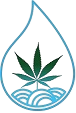 Cannabis Medicinal en Colombia